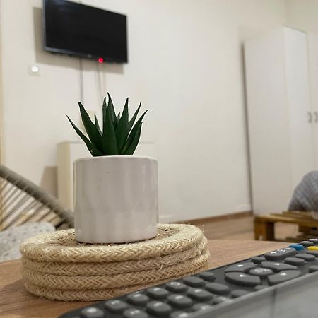 Fenix Apartman II Zaječar Zewnętrze zdjęcie