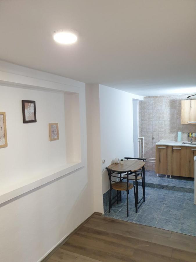 Fenix Apartman II Zaječar Zewnętrze zdjęcie