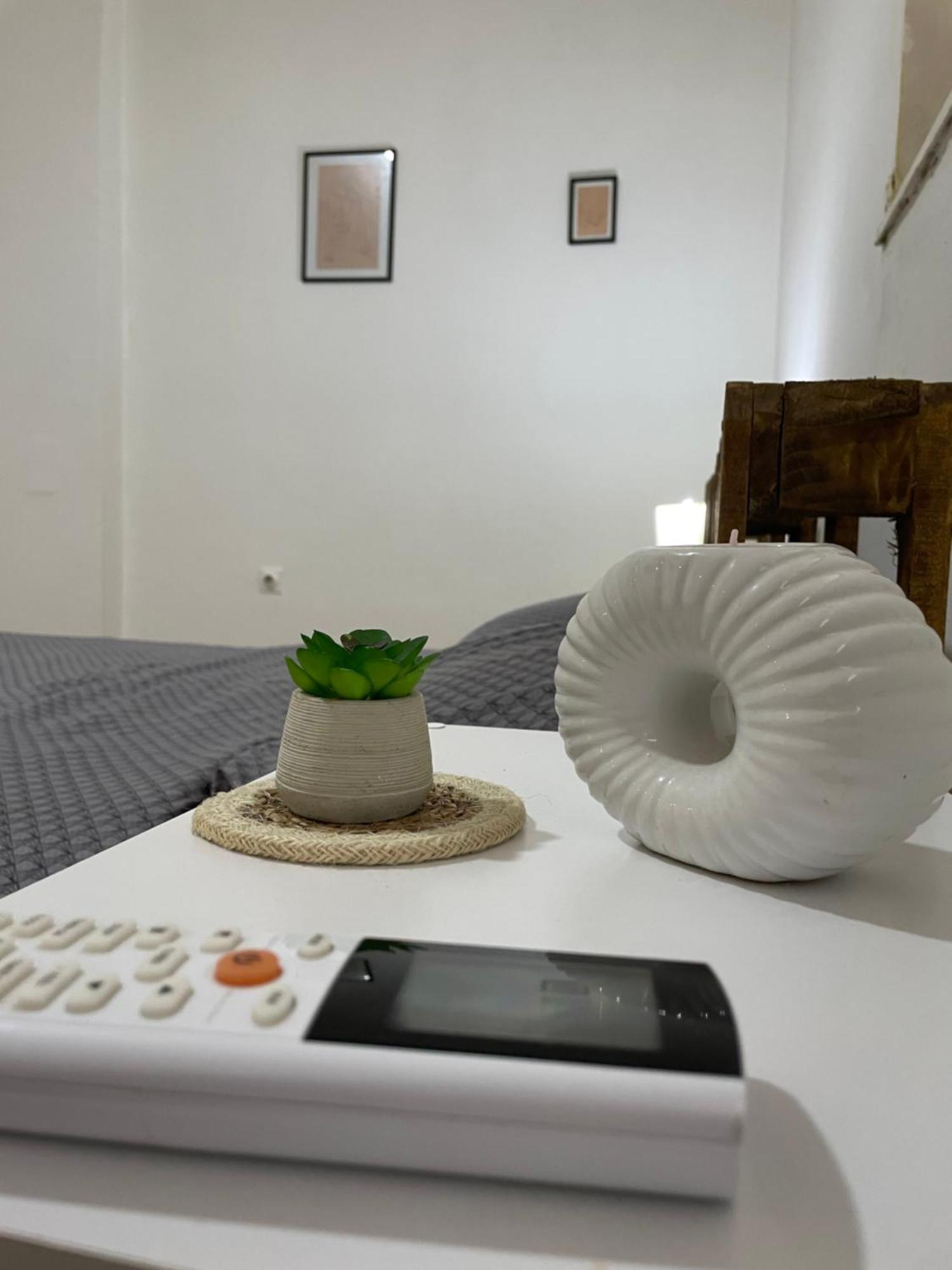 Fenix Apartman II Zaječar Zewnętrze zdjęcie