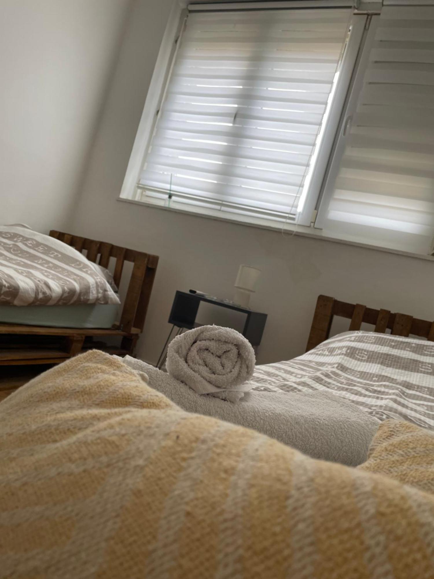 Fenix Apartman II Zaječar Zewnętrze zdjęcie